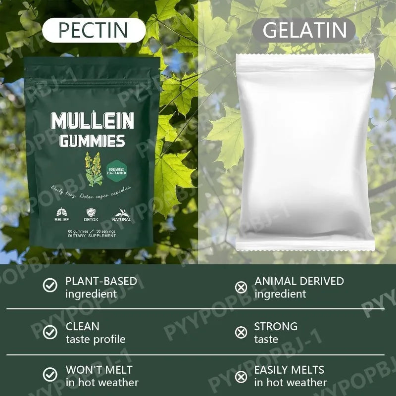 Mullein Gummies with Mullein Leaf Herb Extract Daily Lung Respiratory Health Support Sinus Relief Pear Flavor 60 Pieces Per Bag