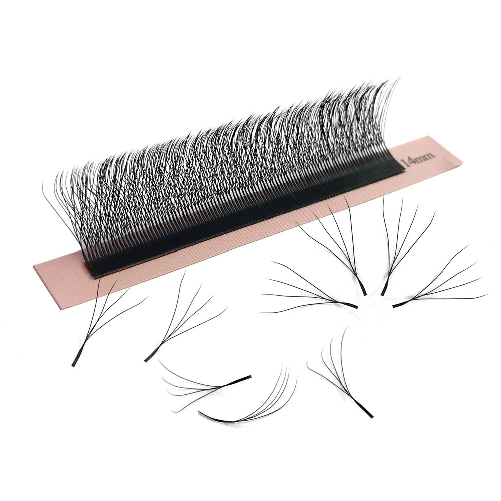 Goddess 4D W Shape Lashes W Eyelash Extensions Natural Soft Individual Lashes Handmade Premade Volume Fans  Cilios W